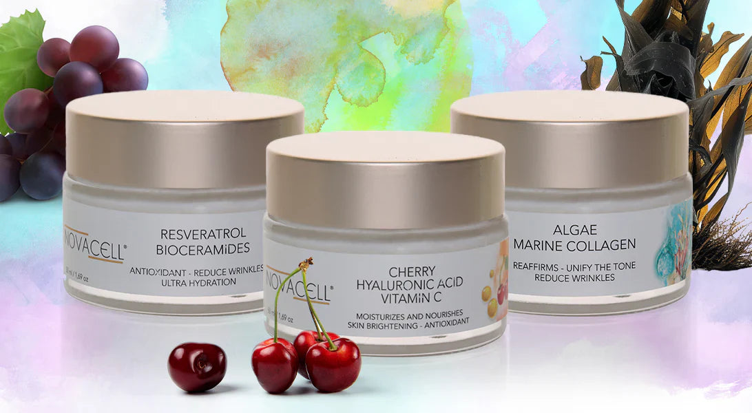 Cuidado de la Piel: Rutina Completa de Dermocosmética Avanzada