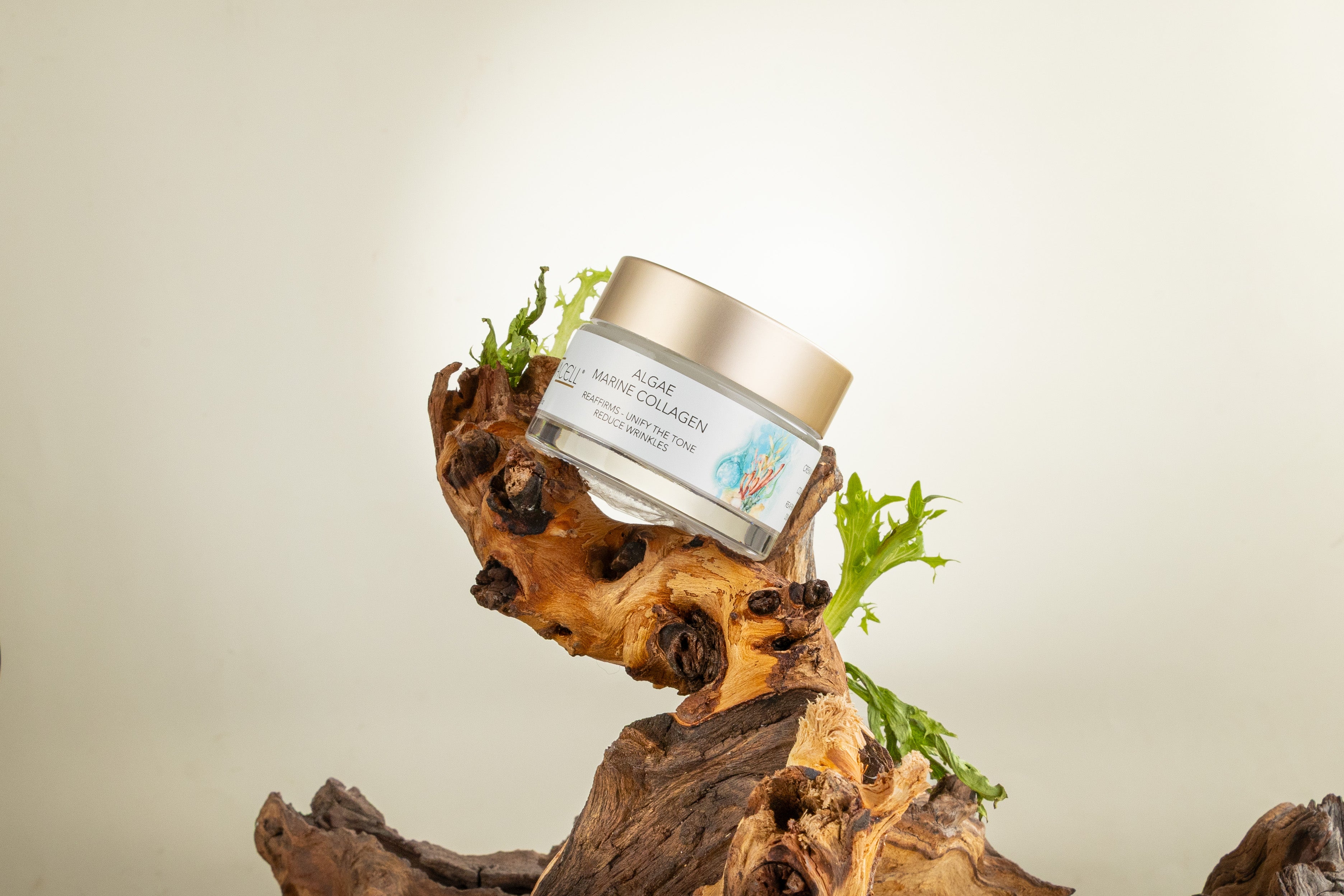 colágeno para la cara Chile